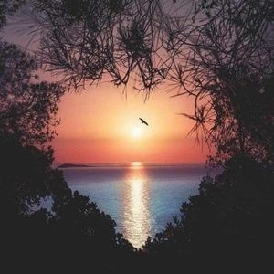 Meet your Posher, Valentin